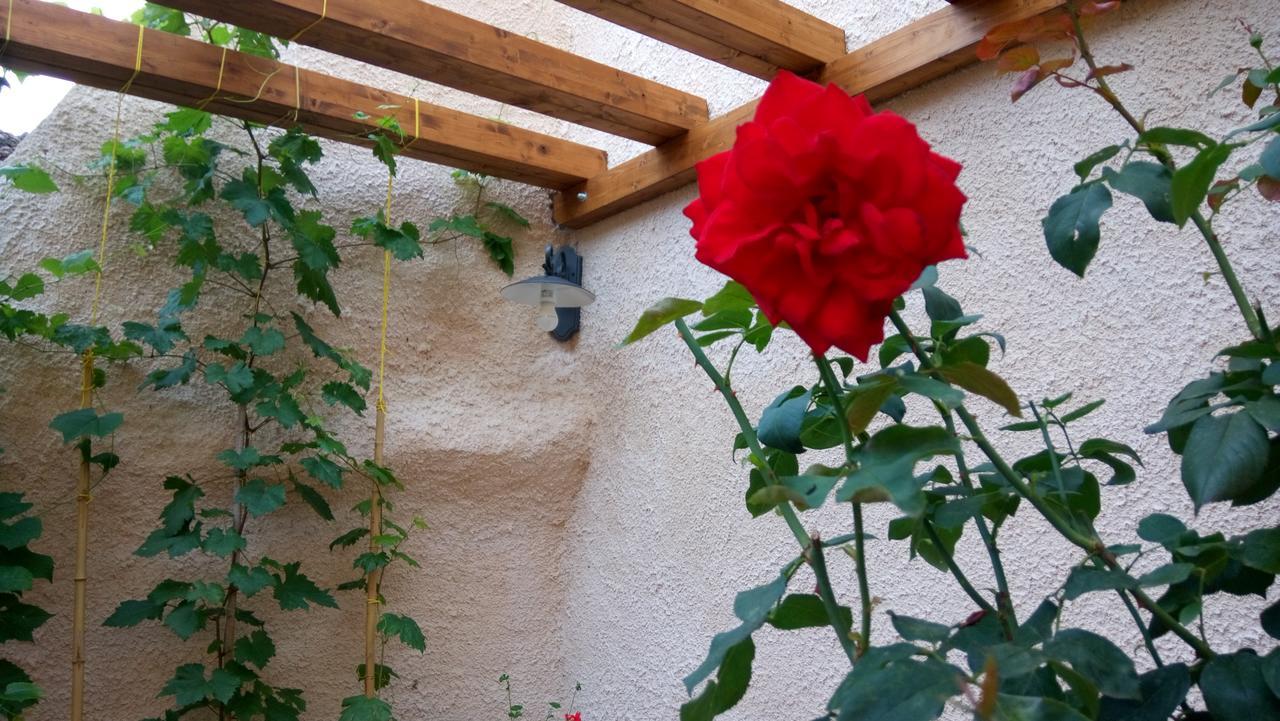 B&B A Casa Di Nonna Massa d'Albe Bagian luar foto