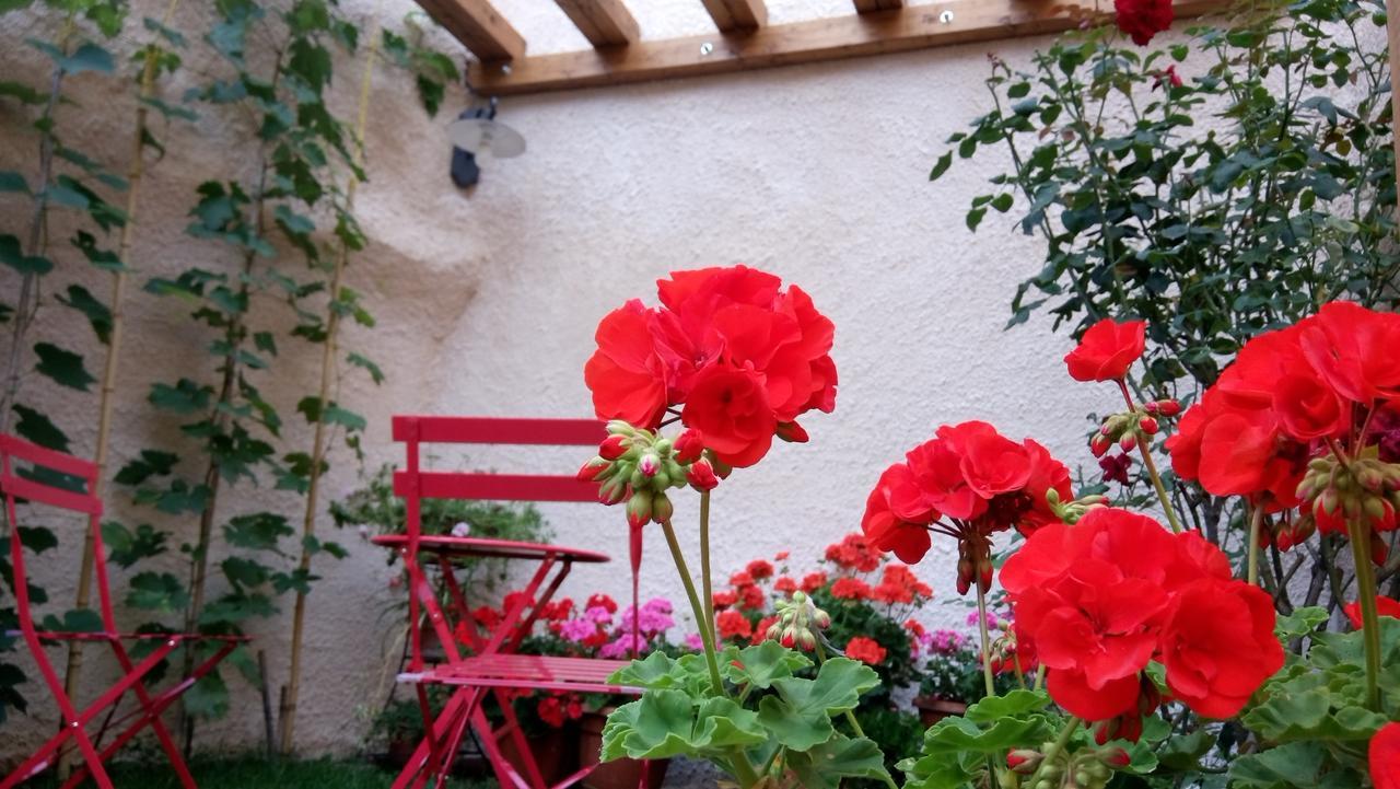 B&B A Casa Di Nonna Massa d'Albe Bagian luar foto