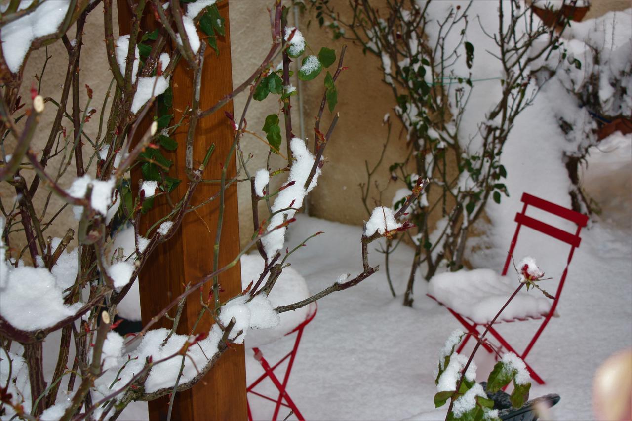 B&B A Casa Di Nonna Massa d'Albe Bagian luar foto