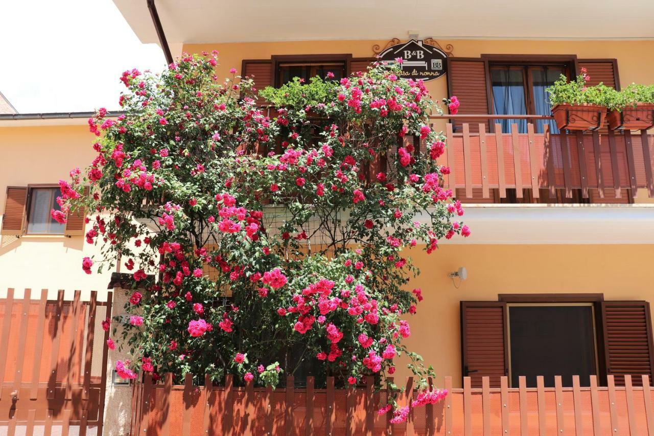 B&B A Casa Di Nonna Massa d'Albe Bagian luar foto